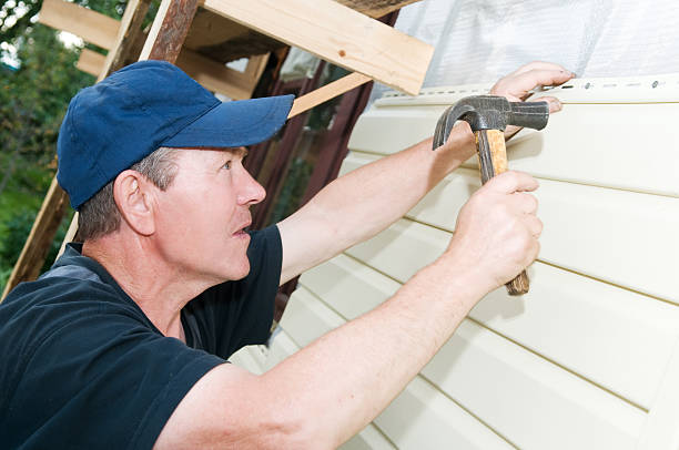 Best Brick Veneer Siding  in Mesa, AZ