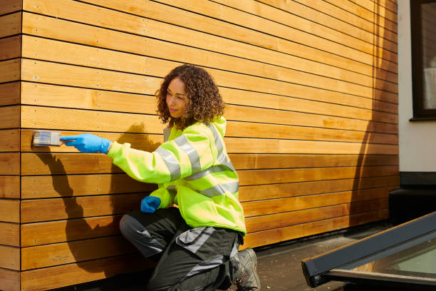 Best Custom Siding Design  in Mesa, AZ