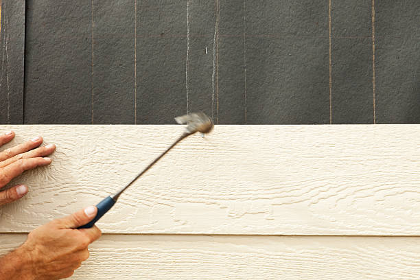 Best Custom Trim and Detailing for Siding  in Mesa, AZ